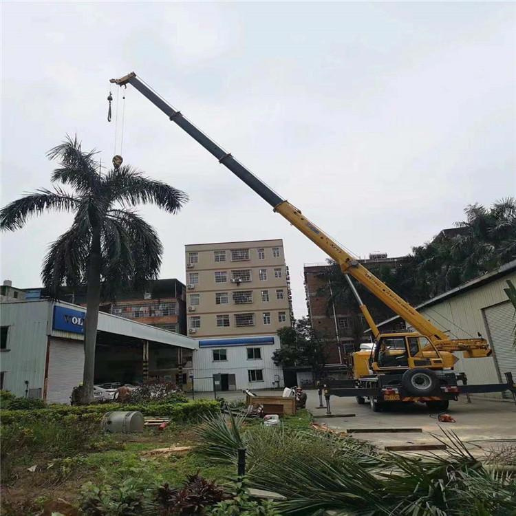 青秀吊车吊大树几种方法